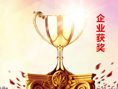 Enterprise Award